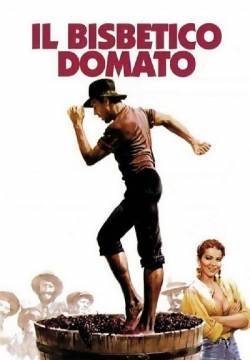 Il bisbetico domato