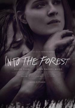Into the Forest