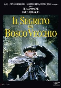 Il segreto del bosco vecchio