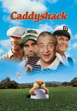 Palla da golf